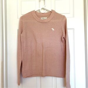 Abercrombie & Fitch Wool Crewneck Sweater Long Sleeve Blush Small
